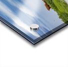 Cattle on a Hill Acrylic print