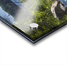 Blue Herons Flight Acrylic print