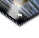 Otter Impression Acrylique