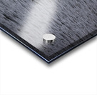 Pelicans Acrylic print