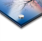 Lone Tree at Sunrise Acrylic print