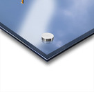 Pelican in Flight Acrylic print