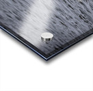 Pelicans Impression Acrylique