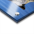 Painted Turtle Impression Acrylique