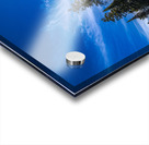 Pine Point Rapids Acrylic print