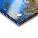 Pine Point Rapids Acrylic print