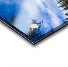 Pine Point Rapids Acrylic print