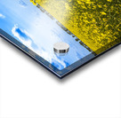 Canola Field Impression Acrylique