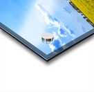 Canola Field Impression Acrylique