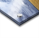 Ripe For Harvest Acrylic print