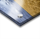 Ripe For Harvest Acrylic print