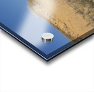 Spruce Woods Acrylic print