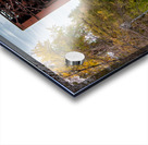 Emerson Train Bridge Acrylic print