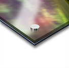 Northern Lights Acrylic print