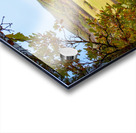 Pembina Valley Acrylic print