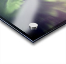 Northern Lights Acrylic print