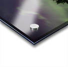 northern Lights Acrylic print