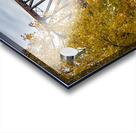 Emerson Train Bridge Acrylic print