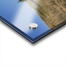 Spruce Woods Acrylic print