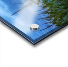 Cornfield at Sunset Acrylic print