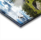 Cattle in Pasture Acrylic print