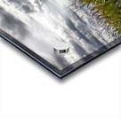 Cornfield Under a Cloudy Day Acrylic print