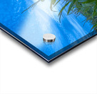 Cornfield at Sunset Acrylic print