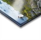 By the Falls Acrylic print