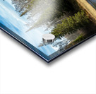 Tamarack Reflection Acrylic print