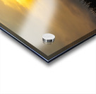 Hazy Sunrise Over Cornfield Acrylic print