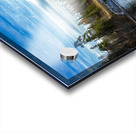 Lone Tamarack Tree Behind the Falls Acrylic print