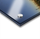 Sunset in the Cornfield Acrylic print