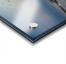 Great Falls Dam Impression Acrylique