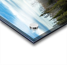 Lone Tamarack Behind the Falls Acrylic print