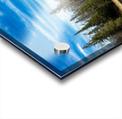 Lone Tamarack Tree Reflection Acrylic print