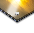 Hazy Sunrise Above Corn Field Acrylic print