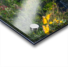 Small  Falls Acrylic print