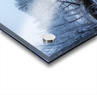 River in First Snowfall Acrylic print