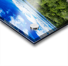 Top of the World Acrylic print