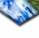 Looking at Falcon Lake Impression Acrylique