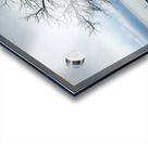 The Last Stand Acrylic print