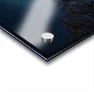 Moon Halo Above the Canopy Acrylic print