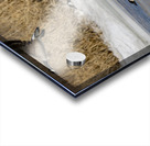 Geese in Flight Acrylic print