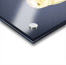 Snowy Owl in the Sun Acrylic print