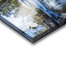 Cascading Waters Acrylic print