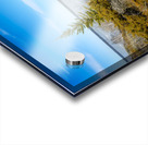 Dragon Fire Trail Acrylic print