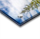 Dragon Fire Trail Acrylic print