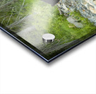 Mama Bear and its Cub Acrylic print