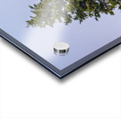 Blue Heron Over the Canopy Impression Acrylique