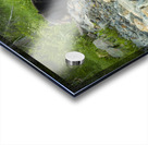 Mama Bear and its Cub Acrylic print